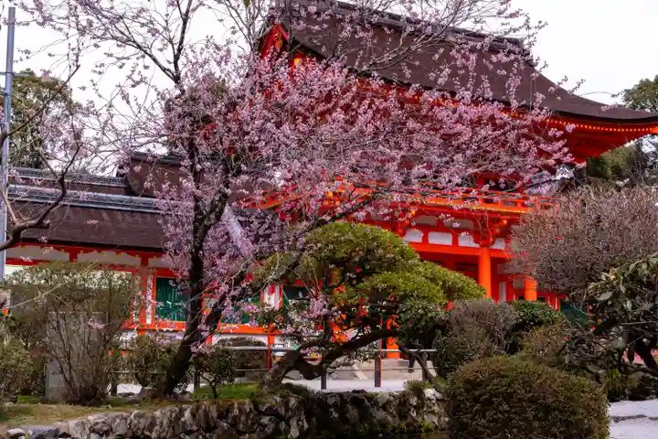 賀茂別雷神社(上賀茂神社)(京都府)