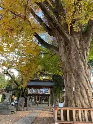 住吉神社のその他建物