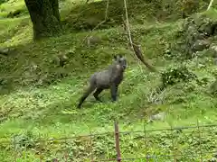 熊野那智大社(和歌山県)