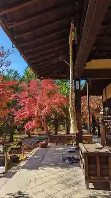 勝林寺(京都府)