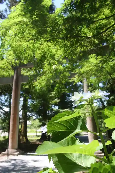 井伊神社(滋賀県)