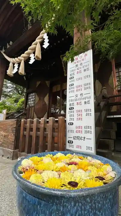 行田八幡神社(埼玉県)