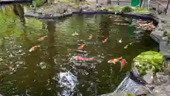 伊豆山神社(静岡県)