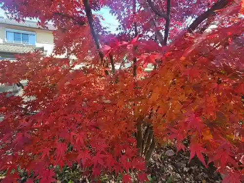 武蔵一宮氷川神社(埼玉県)
