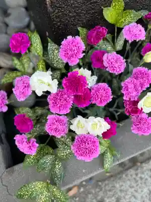 上尾御嶽神社の手水舎