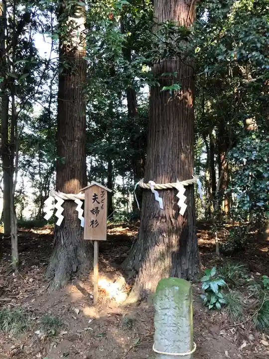 鹿嶋神社の自然