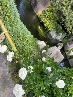 大蓮寺(千葉県)