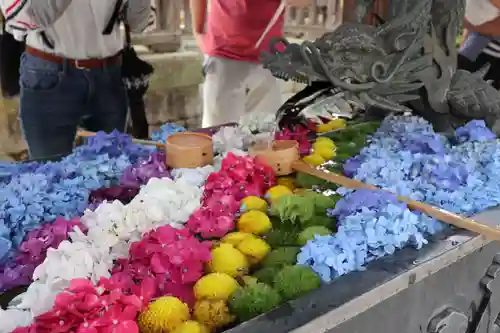 柳谷観音　楊谷寺の手水舎