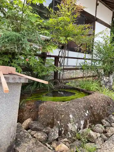 高徳寺の手水