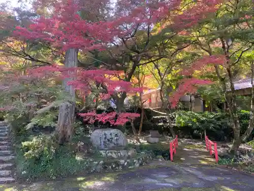 小新屋観音(兵庫県)