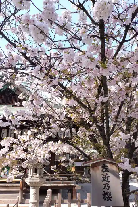 白峯神宮(京都府)