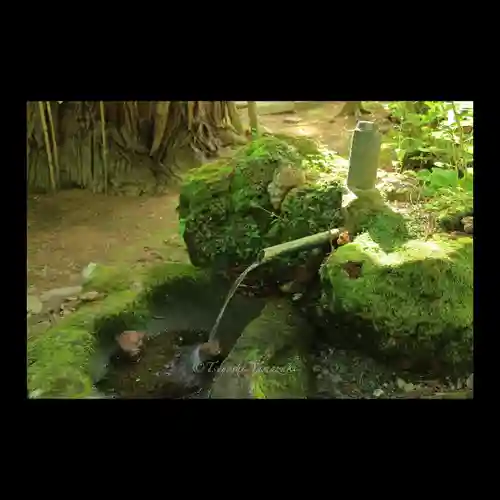 磐椅神社の庭園