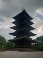 東寺(教王護国寺)の塔