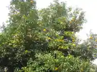 大忠院(埼玉県)