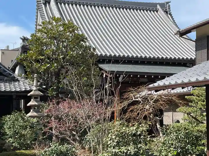 真蓮寺(京都府)