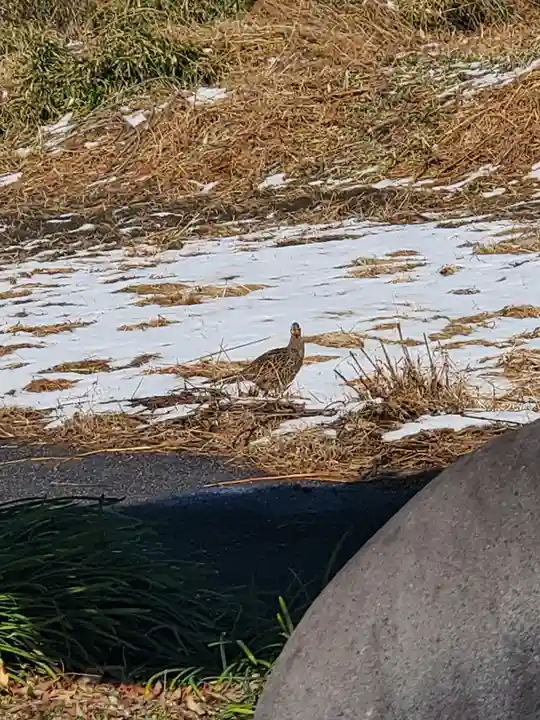 宝蔵寺(栃木県)
