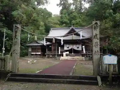 秦神社の本殿・本堂