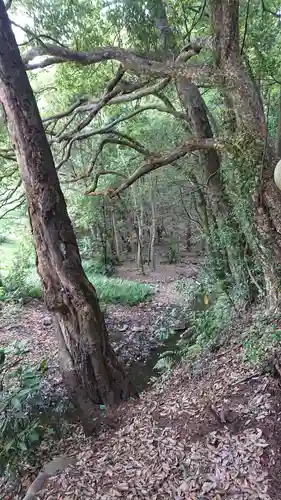 有鹿神社奥宮の周辺