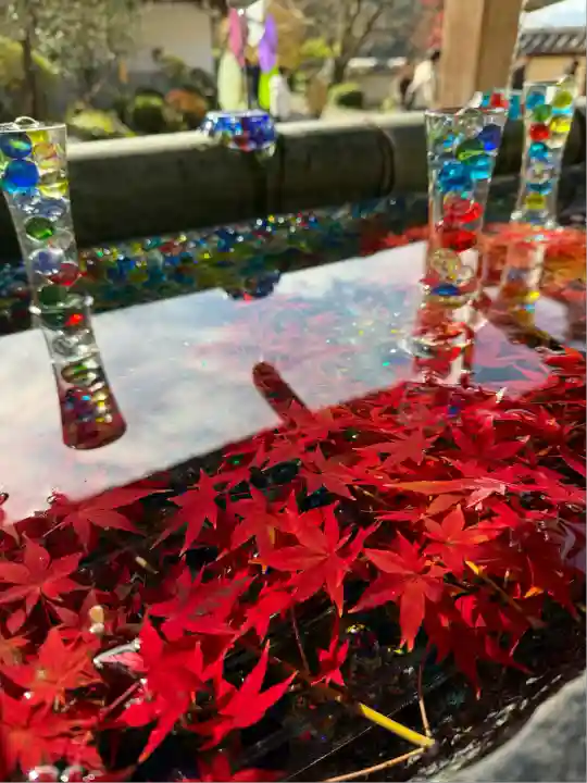 岡寺(龍蓋寺)(奈良県)