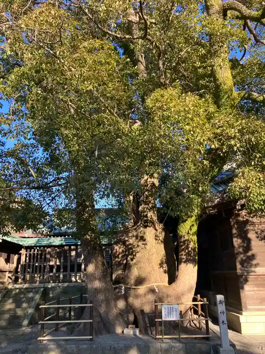 焼津神社(静岡県)