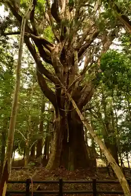 鉾神社(徳島県)