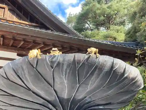 尾山神社の建物その他