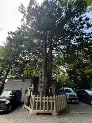 新倉富士浅間神社(山梨県)