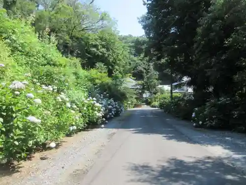 少林寺(埼玉県)