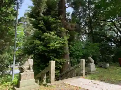 八幡神社(千葉県)