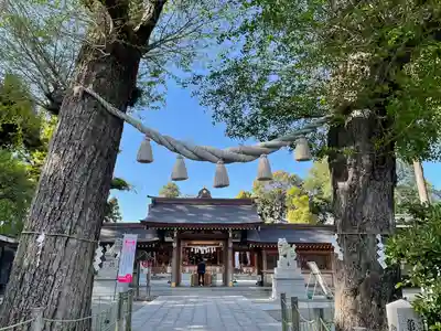亀ケ池八幡宮のその他建物