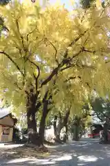 美奈宜神社の自然