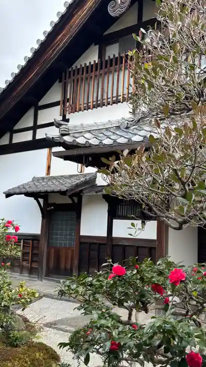 新德禅寺 (新徳寺)(京都府)