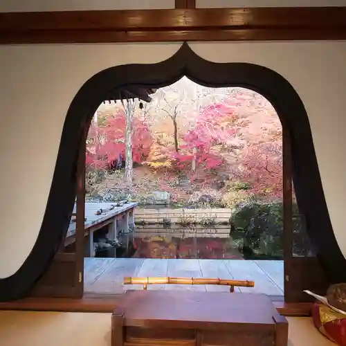 青龍山 吉祥寺の庭園