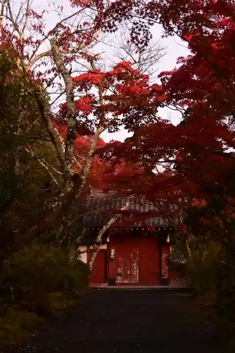 常照寺(京都府)