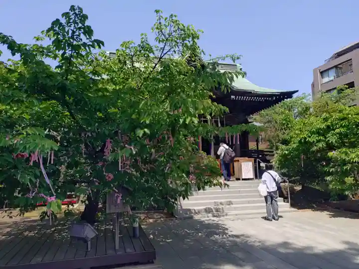 桜神宮(東京都)