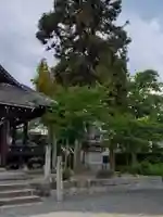 才ノ木神社(広島県)