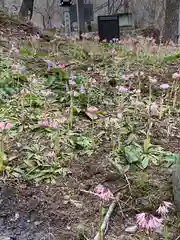 那須温泉神社(栃木県)