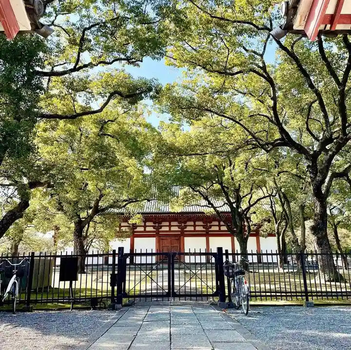東寺(教王護国寺)(京都府)
