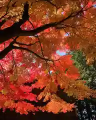 滑川神社 - 仕事と子どもの守り神の自然