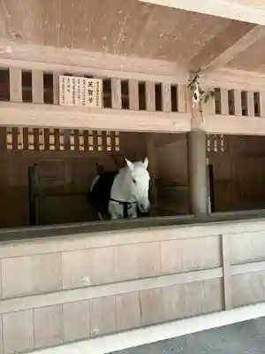 伊勢神宮外宮（豊受大神宮）(三重県)