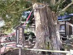 済広寺(静岡県)