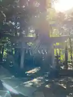 萩日吉神社(埼玉県)