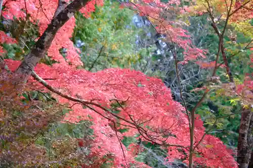 神護寺の景色