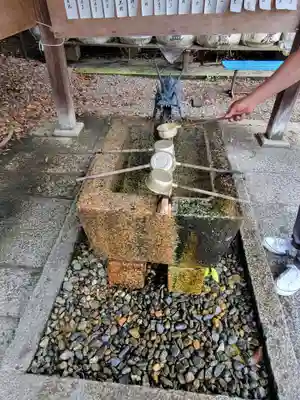 梅宮大社の手水舎
