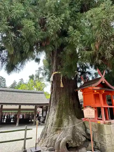 春日大社(奈良県)