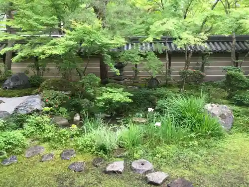 禅林寺（永観堂）の庭園