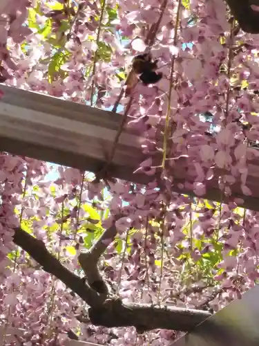 三大神社の自然