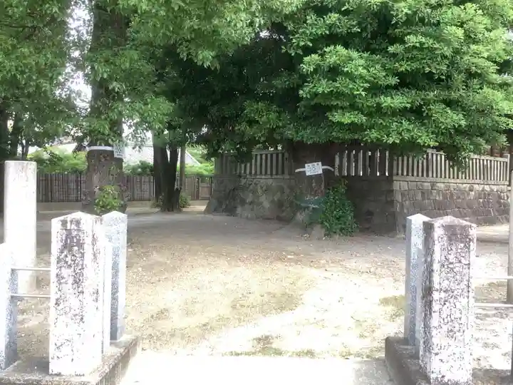 白山神社(松河戸町)のその他建物