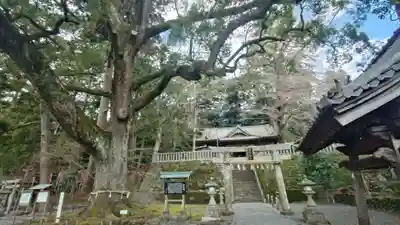 事任八幡宮(静岡県)