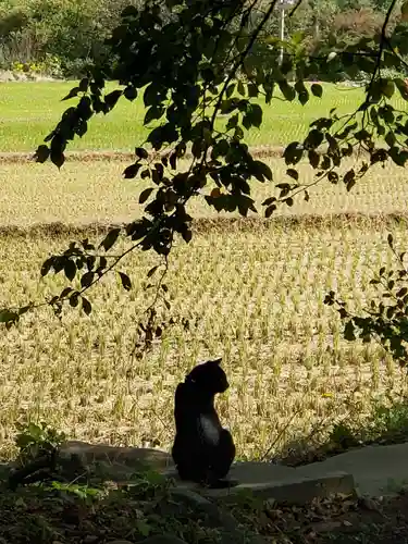 高司神社〜むすびの神の鎮まる社〜(福島県)